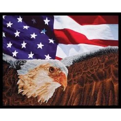 Diamond Dotz Bald Eagle & Flag Diamond Painting