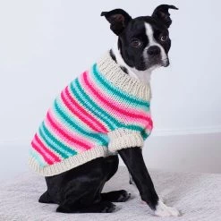 Red Heart Jazzy Stripes Dog Coat Knit Kit
